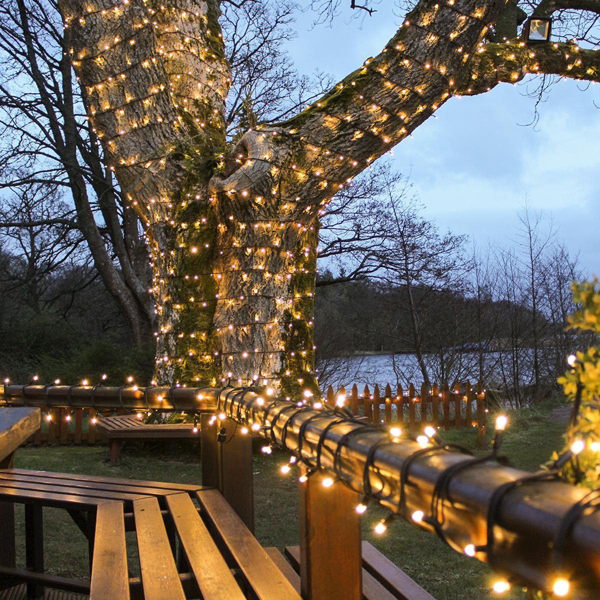 10m String Fairy LED Lights